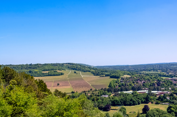 Surrey United Kingdom